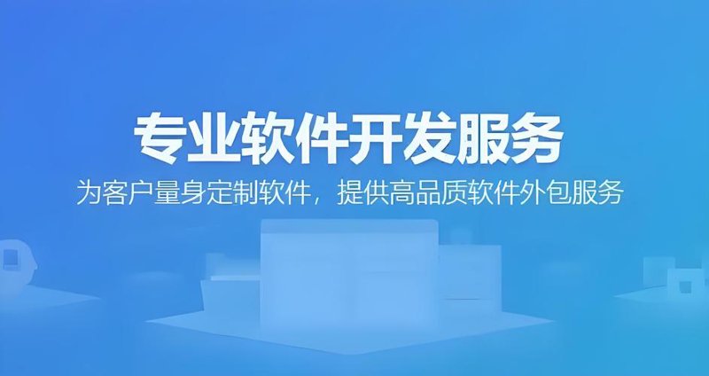 定制化软件开发